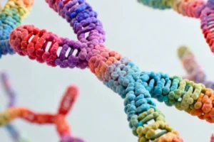 Chromosome-Level Pig Genome Breakthrough Paves Way for Agricultural Innovation and Genetic Conservat - Professional coverage