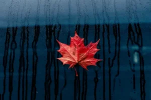 Canadian Firms Navigate Trade Headwinds with Strategic Adaptations - Professional coverage