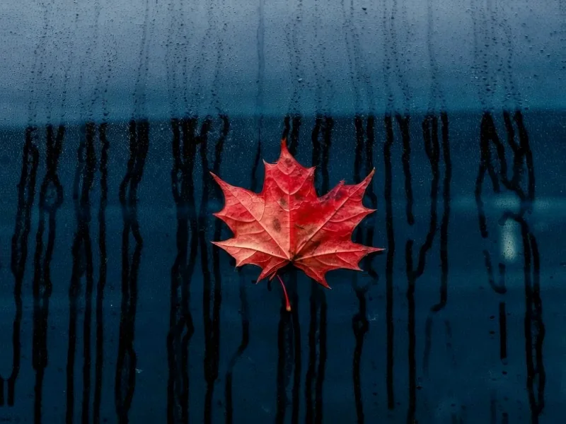 Canadian Firms Navigate Trade Headwinds with Strategic Adaptations