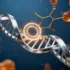 Orchestrating DNA Replication: How PCNA Manages Cellular Machinery for Genome Integrity